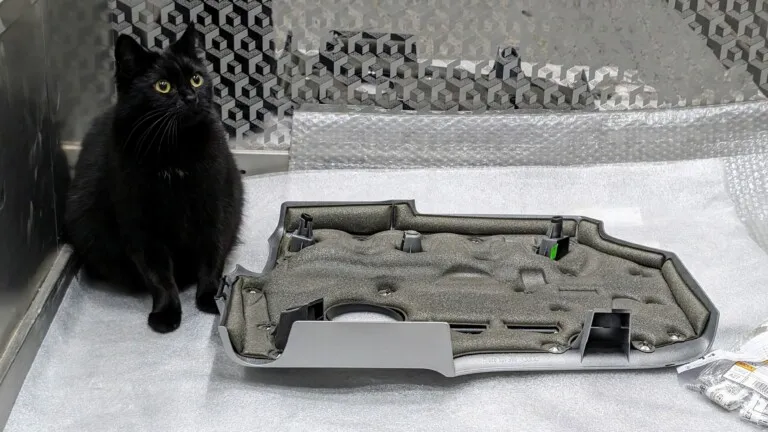 Engine Cover from Audi A1 Quattro/TTS