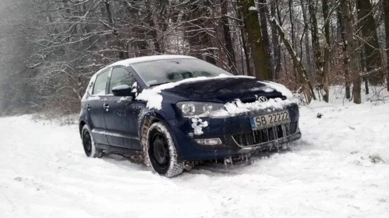 Cold winter