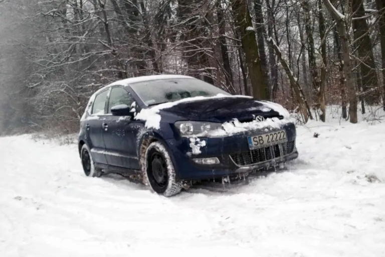 Cold winter