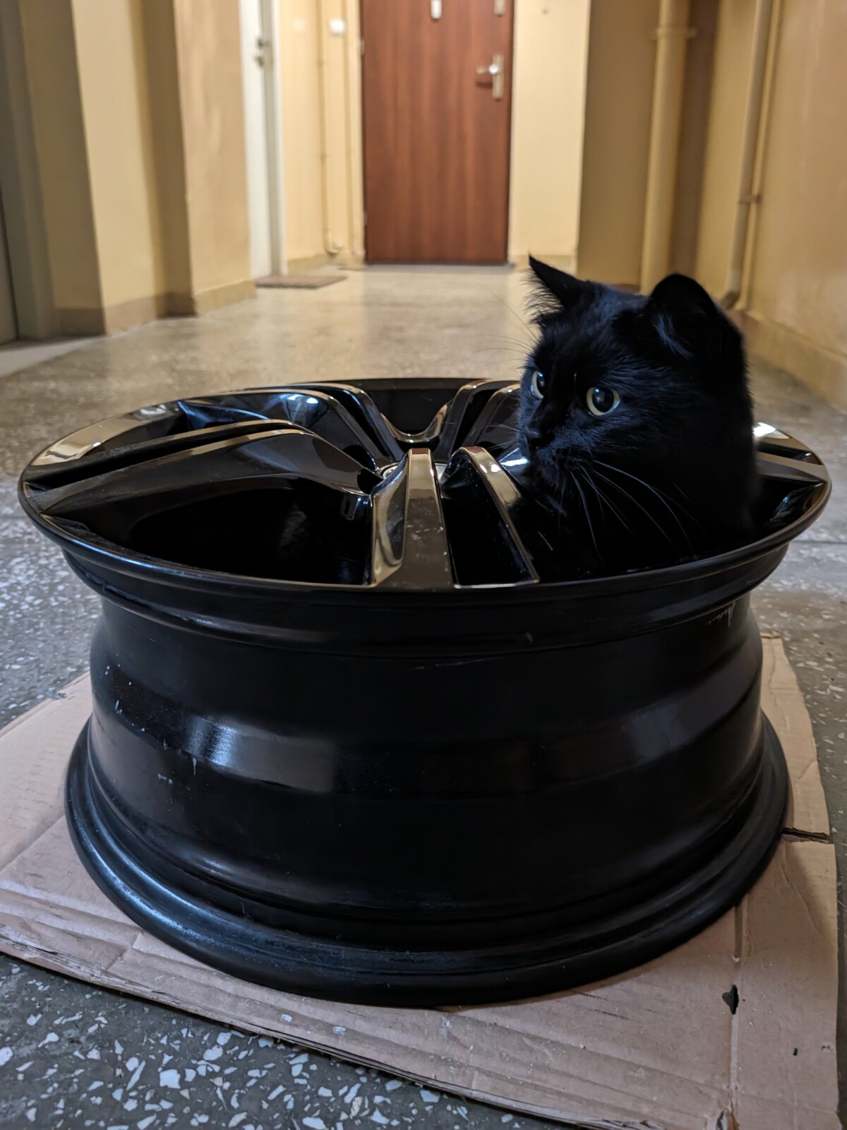 |